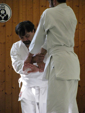   - 11/10/2008 - Stage di Daito Ryu Aiki Jujutsu a Milano